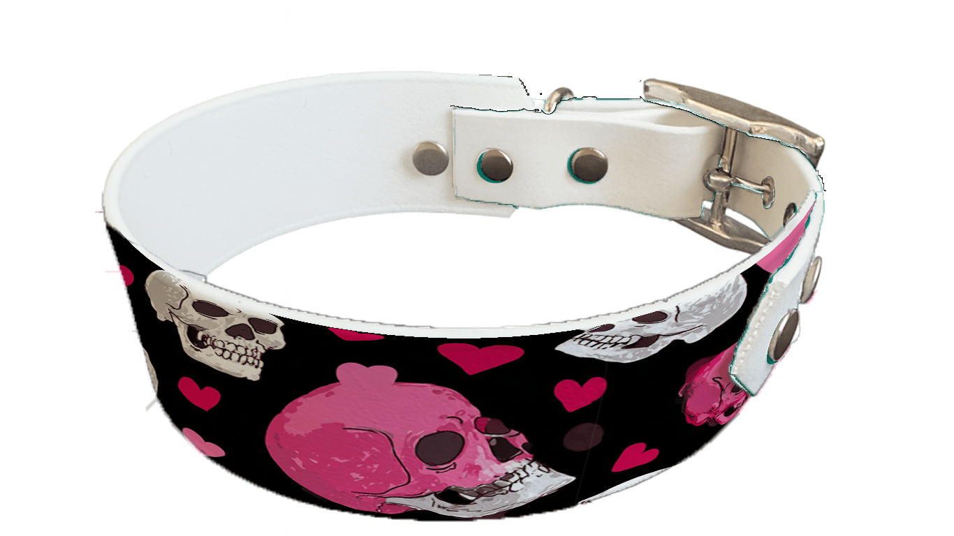 L'atelier du Fourmilier collier bicolore 365 Collier bicolore large pour chien en BioThane® imprimé – Collection Saint valentin– 38/25 mm
