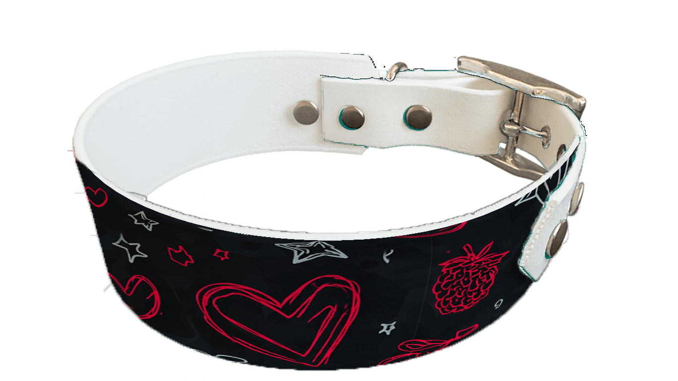 L'atelier du Fourmilier collier bicolore 370 Collier bicolore large pour chien en BioThane® imprimé – Collection Saint valentin– 38/25 mm