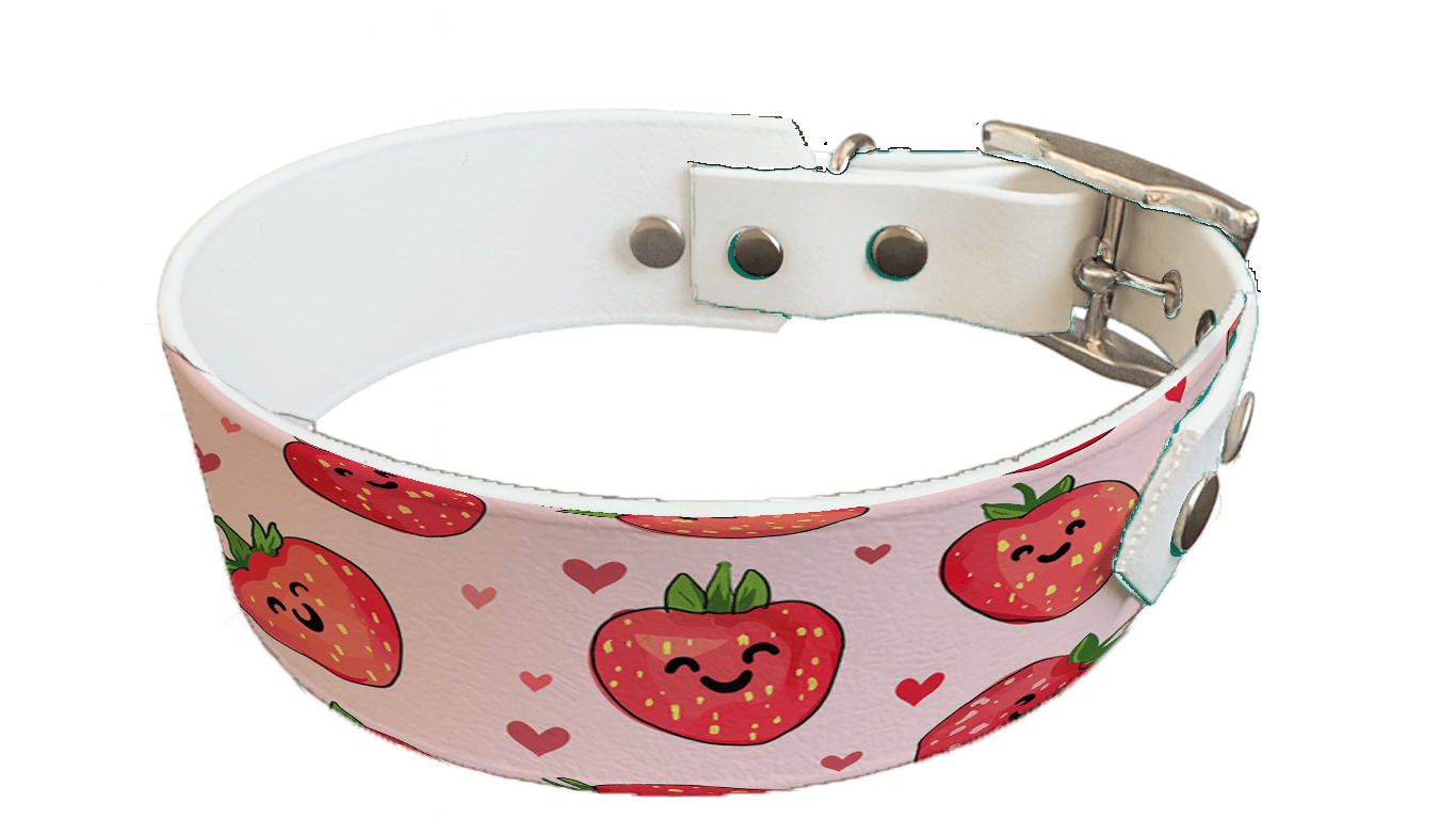 L'atelier du Fourmilier collier bicolore 377 Collier bicolore large pour chien en BioThane® imprimé – Collection Saint valentin– 38/25 mm