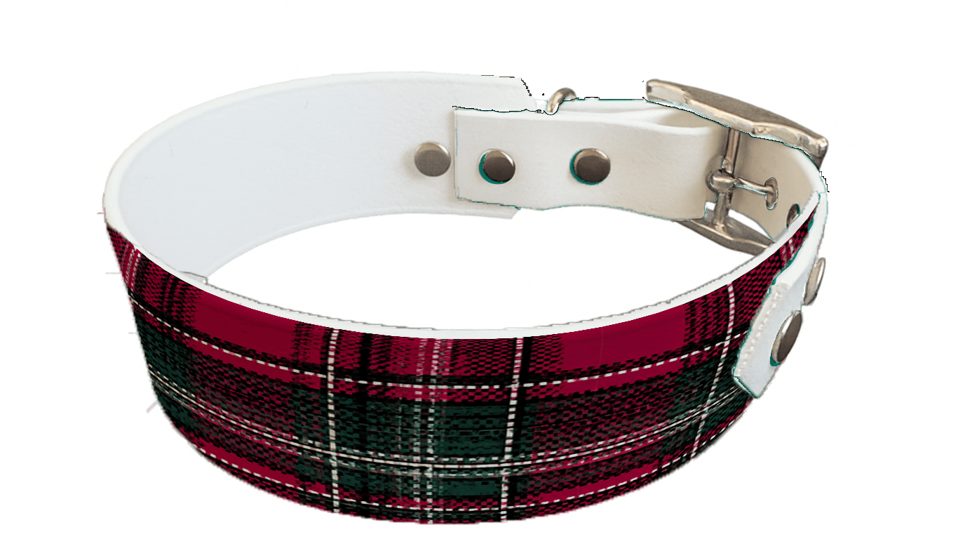 L'atelier du Fourmilier collier bicolore 387 Collier bicolore large pour chien en BioThane® imprimé – Collection Tartan– 38/25 mm