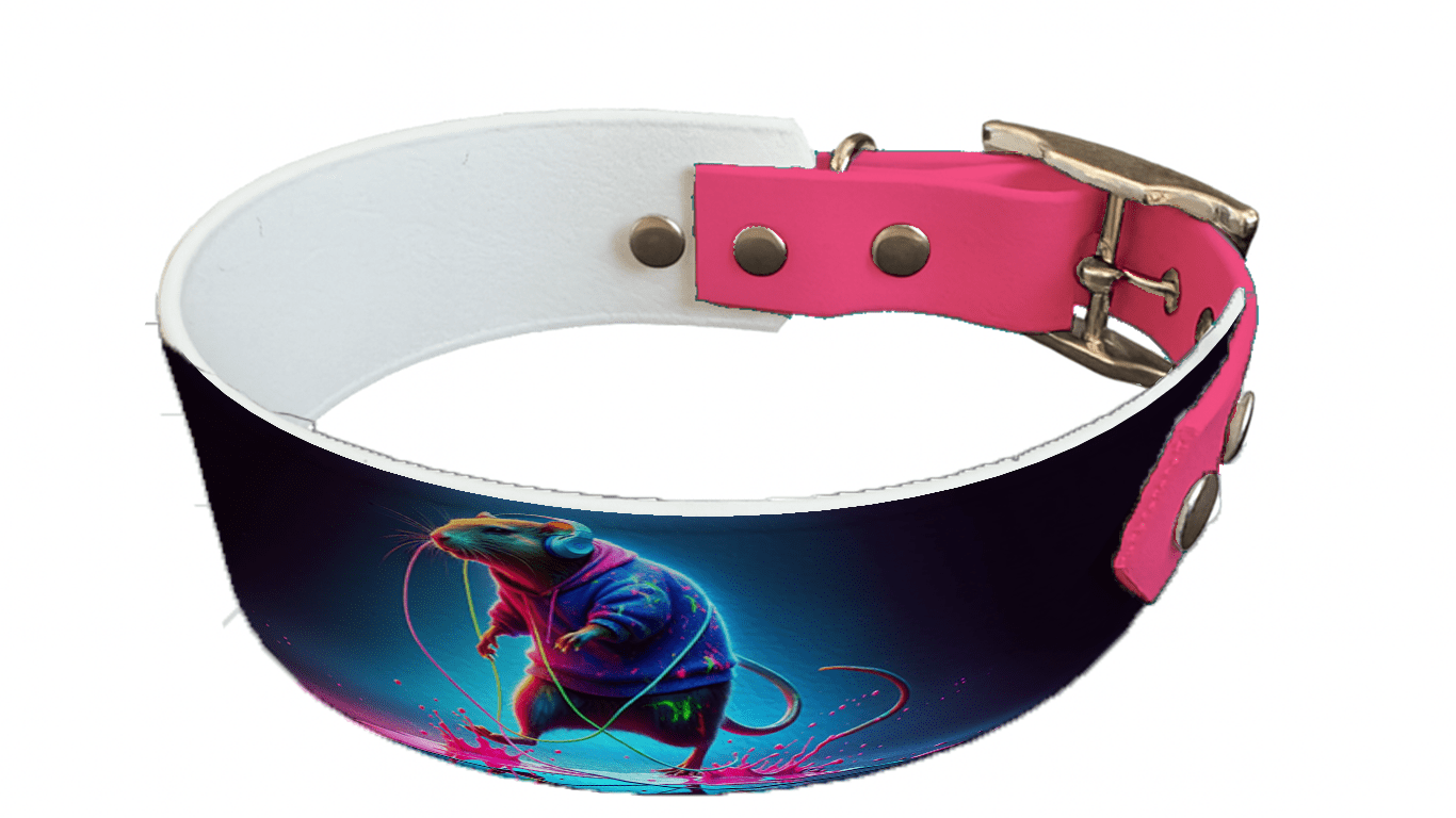 L'atelier du Fourmilier collier bicolore 39 Collier bicolore large pour chien en BioThane® imprimé – Collection animaux pop/kawaii – 38/25 mm