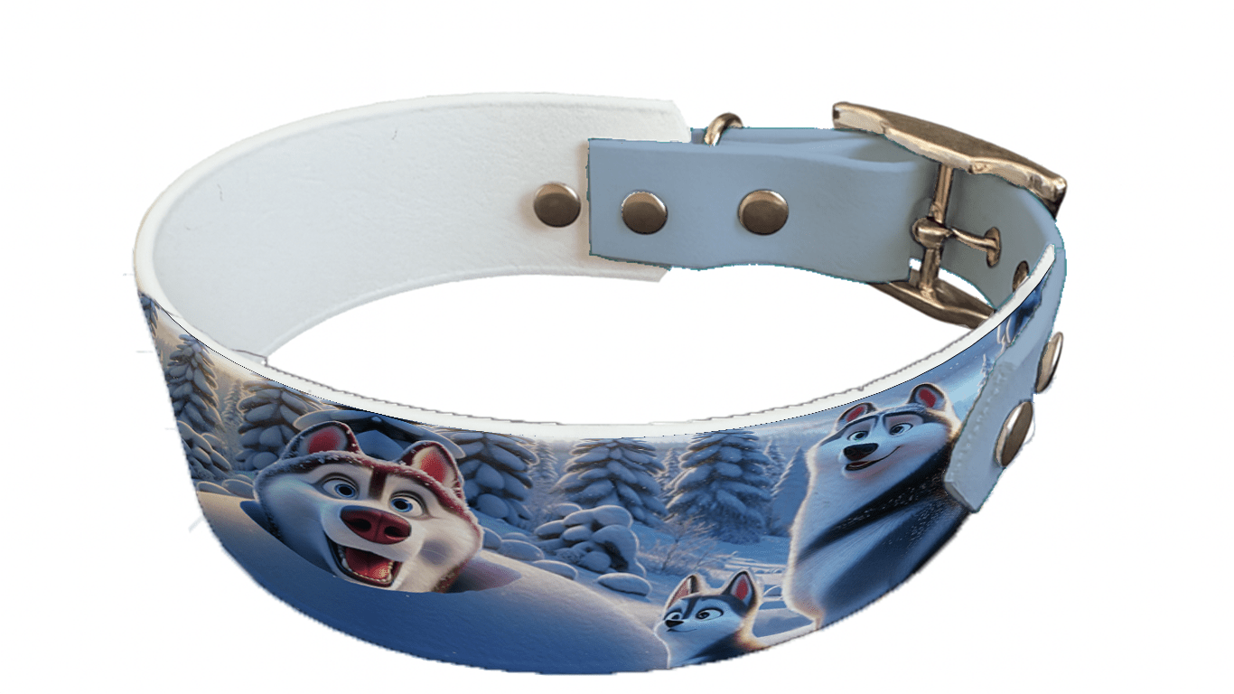 L'atelier du Fourmilier collier bicolore 40 Collier bicolore large pour chien en BioThane® imprimé – Collection chiens– 38/25 mm
