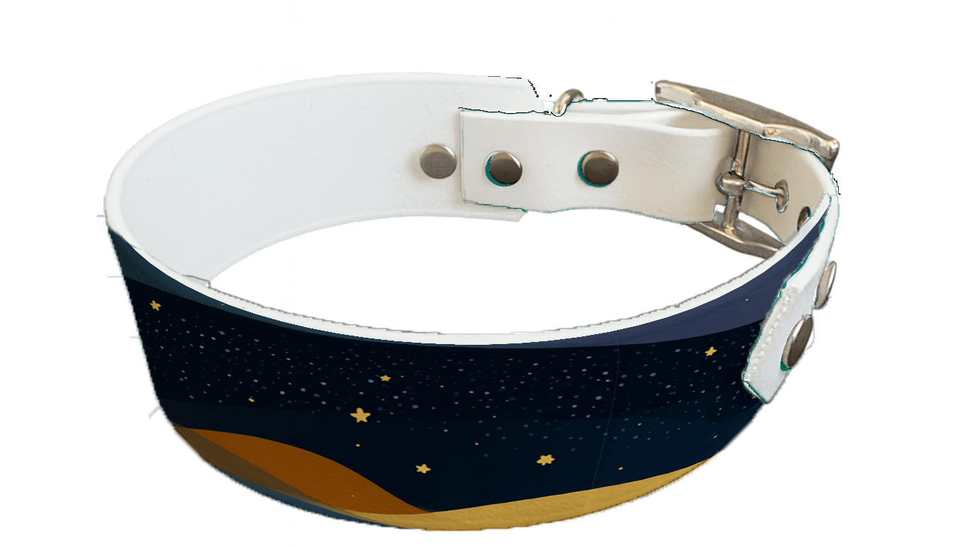 L'atelier du Fourmilier collier bicolore 415 Collier bicolore large pour chien en BioThane® imprimé – Collection paysage– 38/25 mm