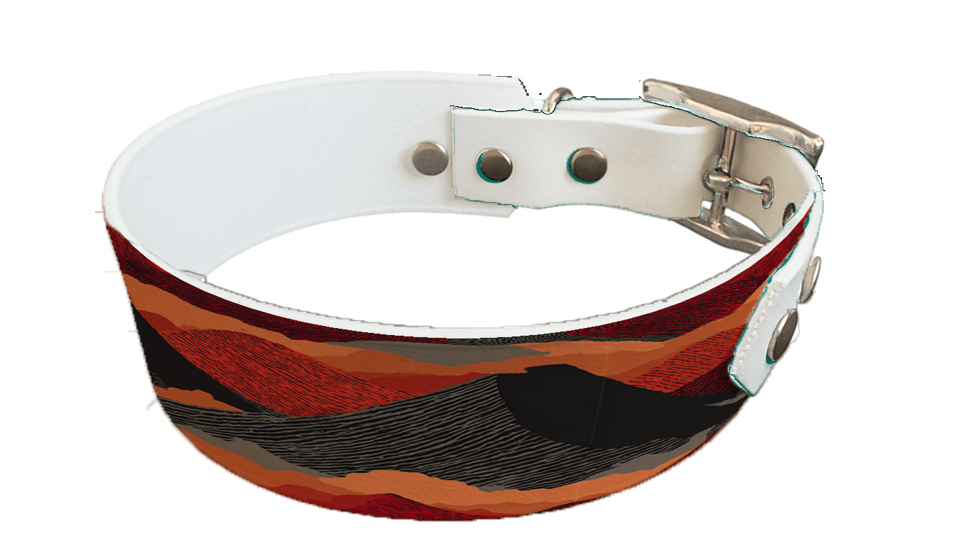L'atelier du Fourmilier collier bicolore 422 Collier bicolore large pour chien en BioThane® imprimé – Collection paysage– 38/25 mm