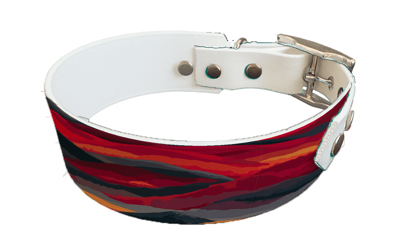 L'atelier du Fourmilier collier bicolore 423 Collier bicolore large pour chien en BioThane® imprimé – Collection paysage– 38/25 mm