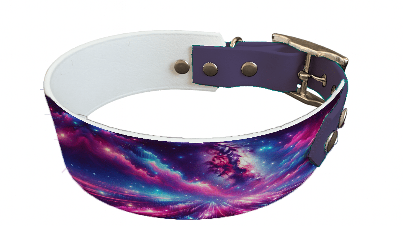 L'atelier du Fourmilier collier bicolore 43 Collier bicolore large pour chien en BioThane® imprimé – Collection galaxie – 38/25 mm