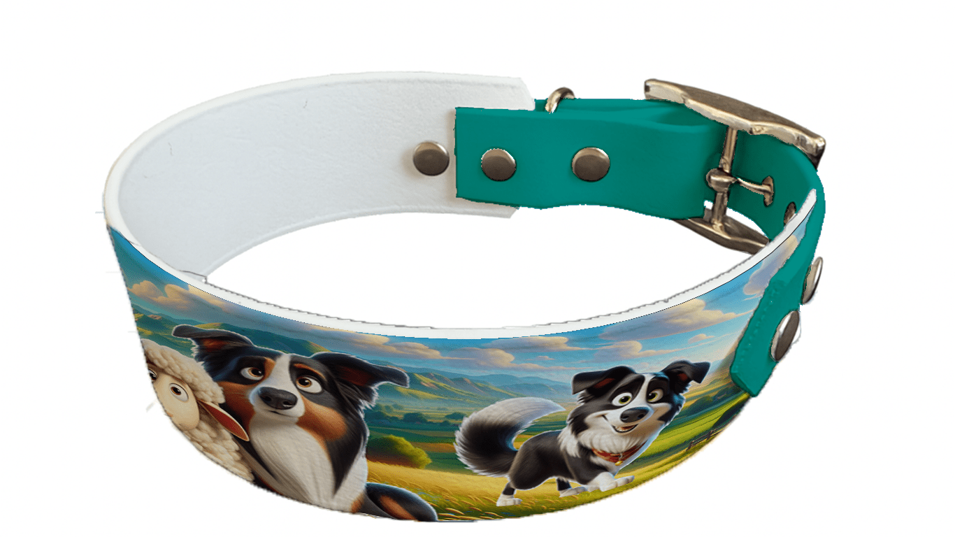 L'atelier du Fourmilier collier bicolore 44 Collier bicolore large pour chien en BioThane® imprimé – Collection chiens– 38/25 mm