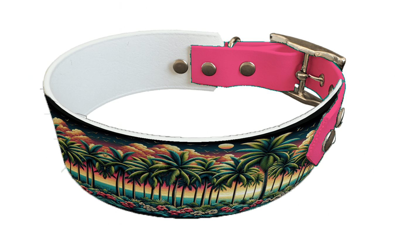 L'atelier du Fourmilier collier bicolore 52 Collier bicolore large pour chien en BioThane® imprimé – Collection paysage– 38/25 mm