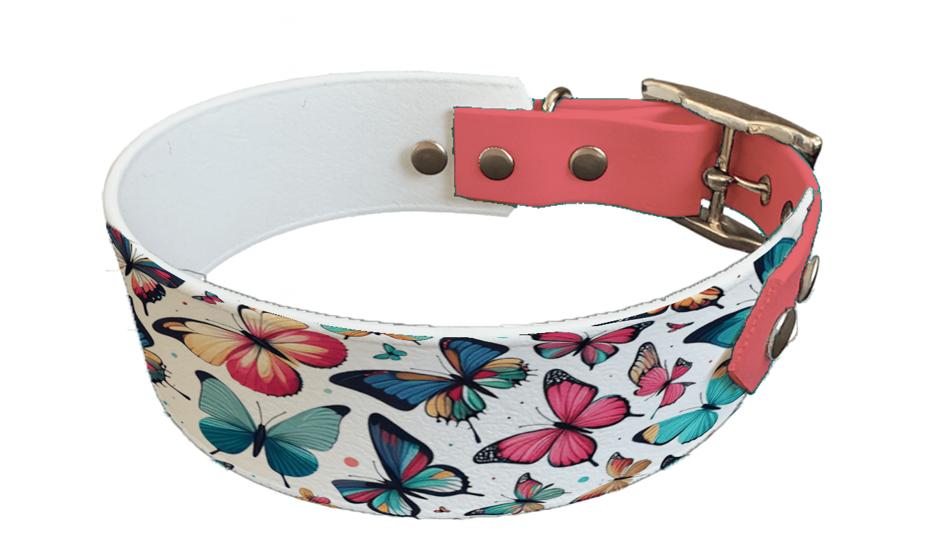 L'atelier du Fourmilier collier bicolore 54 Collier bicolore large pour chien en BioThane® imprimé – Collection insectes– 38/25 mm