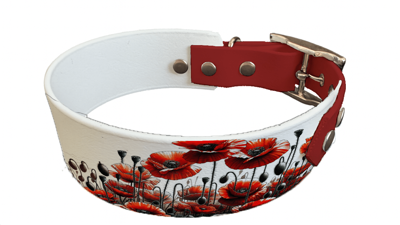 L'atelier du Fourmilier collier bicolore 58 Collier bicolore large pour chien en BioThane® imprimé – Collection plantes et fleurs – 38/25 mm