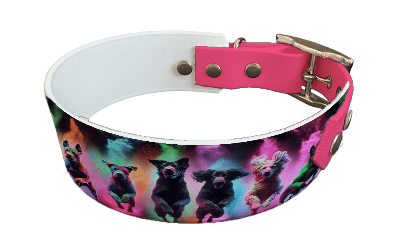 L'atelier du Fourmilier collier bicolore 62 Collier bicolore large pour chien en BioThane® imprimé – Collection chiens– 38/25 mm