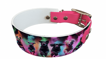 L'atelier du Fourmilier collier bicolore 62 Collier bicolore large pour chien en BioThane® imprimé – Collection chiens– 38/25 mm