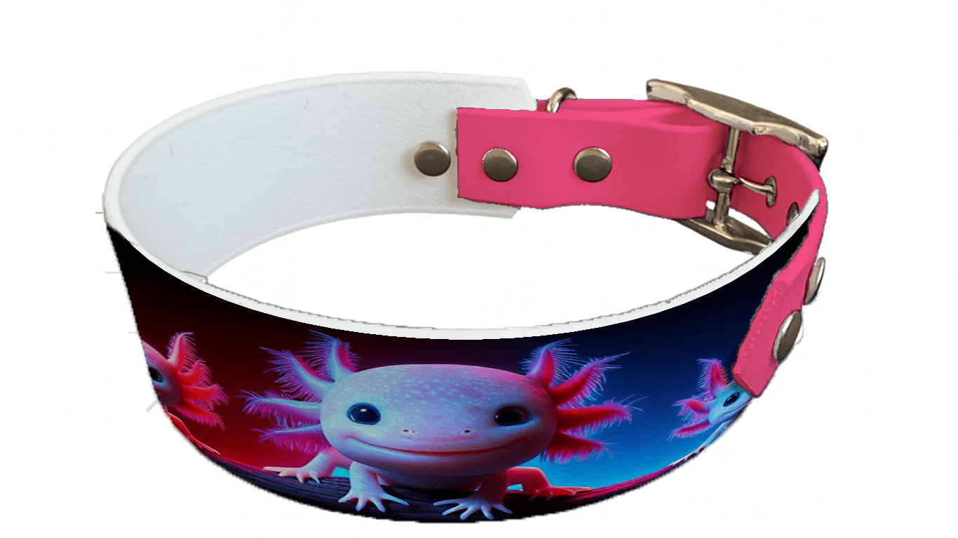 L'atelier du Fourmilier collier bicolore 64 Collier bicolore large pour chien en BioThane® imprimé – Collection animaux sauvages– 38/25 mm