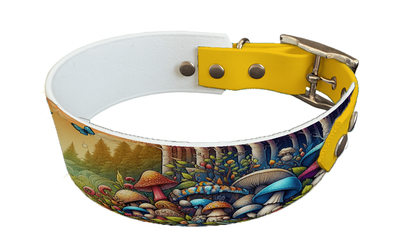 L'atelier du Fourmilier collier bicolore 66 Collier bicolore large pour chien en BioThane® imprimé – Collection forêt enchantée – 38/25 mm