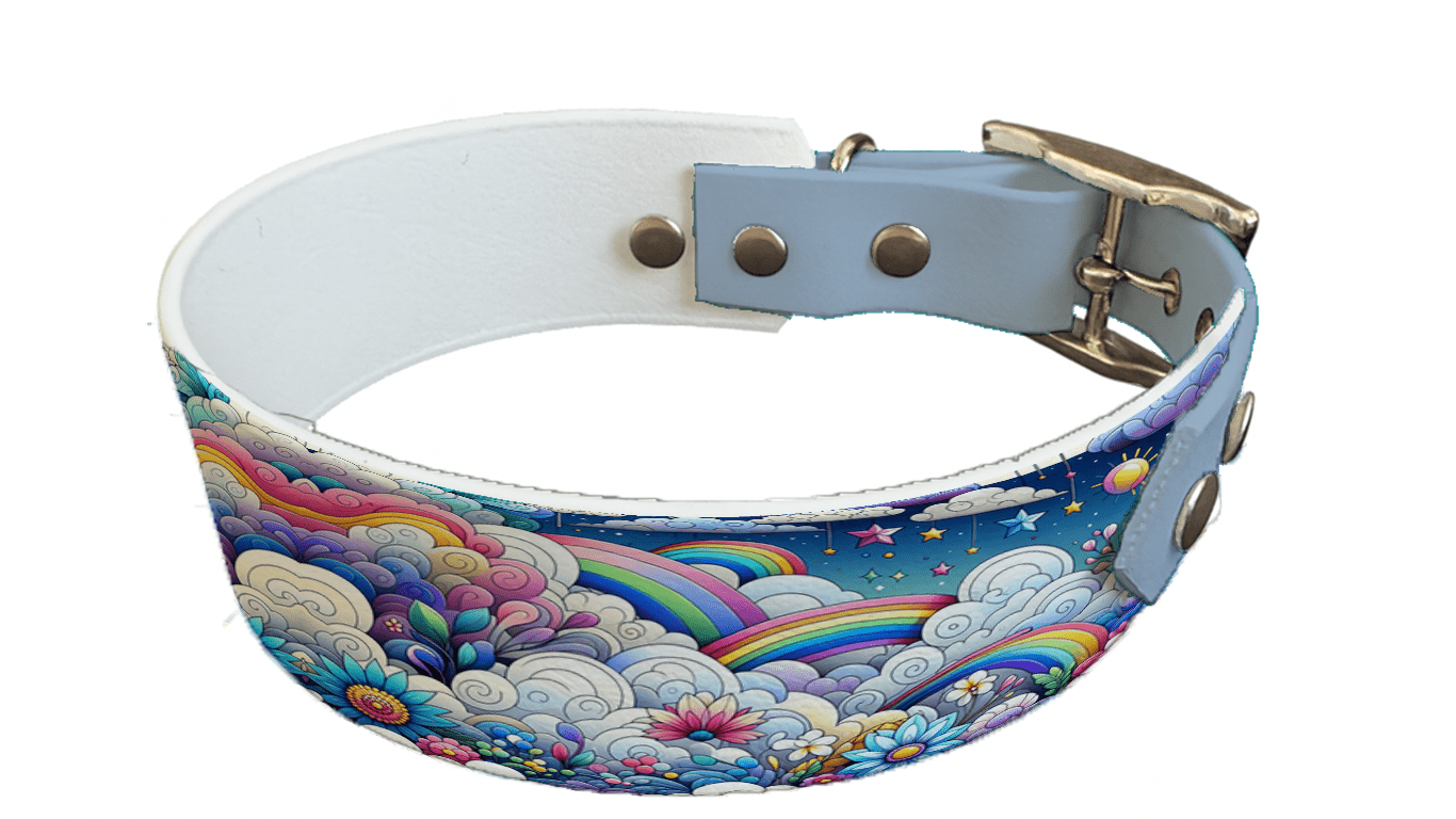 L'atelier du Fourmilier collier bicolore 69 Collier bicolore large pour chien en BioThane® imprimé – Collection nuages– 38/25 mm