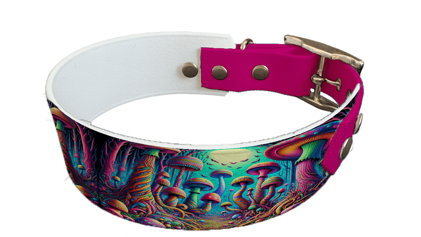 L'atelier du Fourmilier collier bicolore 72 Collier bicolore large pour chien en BioThane® imprimé – Collection forêt enchantée – 38/25 mm