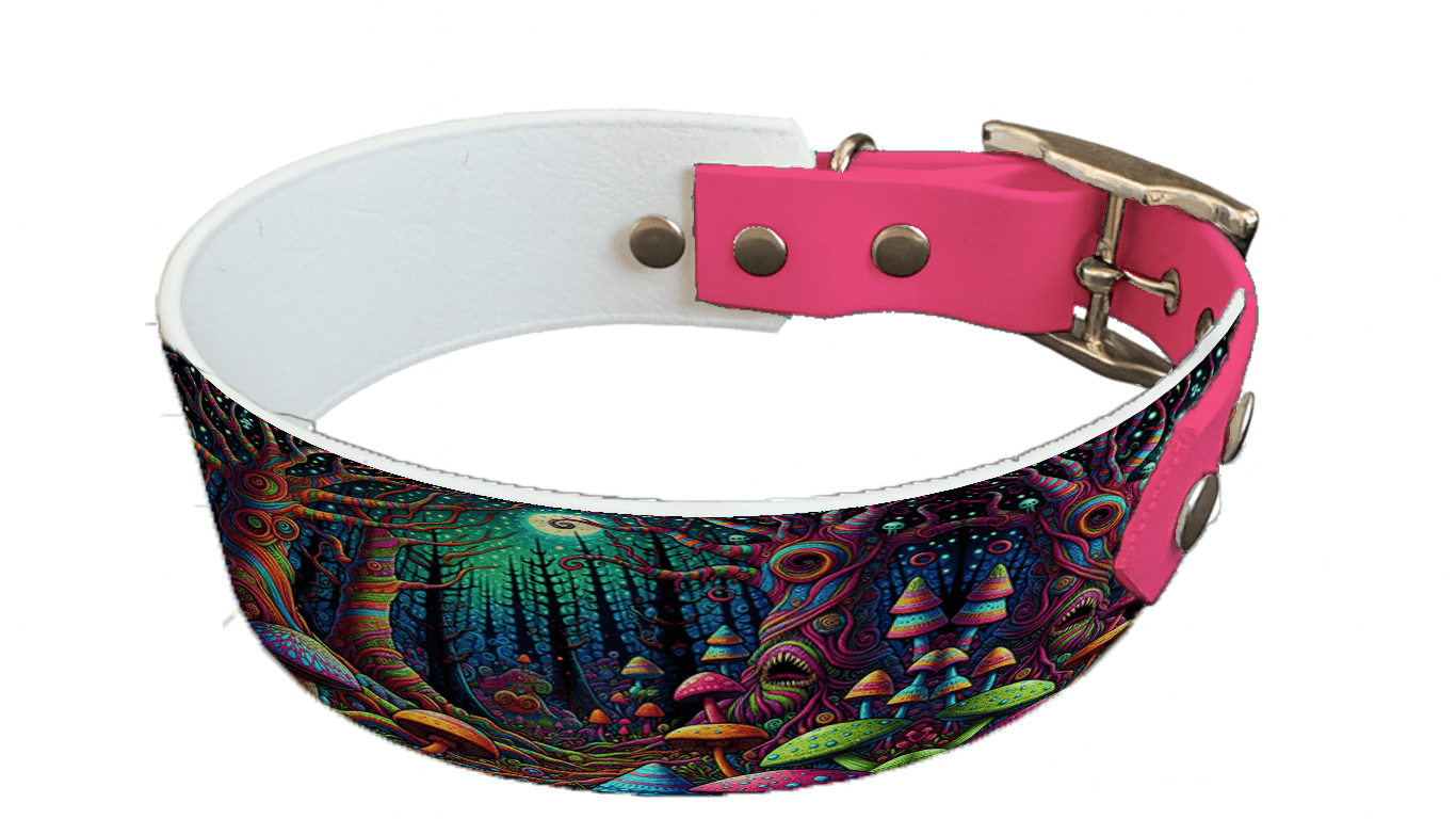 L'atelier du Fourmilier collier bicolore 73 Collier bicolore large pour chien en BioThane® imprimé – Collection forêt enchantée – 38/25 mm