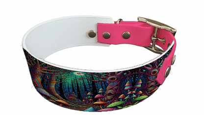 L'atelier du Fourmilier collier bicolore 73 Collier bicolore large pour chien en BioThane® imprimé – Collection forêt enchantée – 38/25 mm