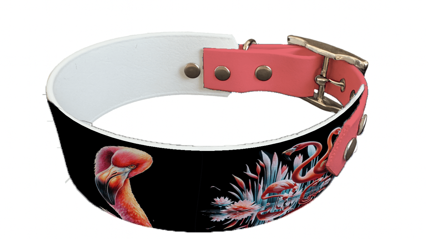 L'atelier du Fourmilier collier bicolore 77 Collier bicolore large pour chien en BioThane® imprimé – Collection animaux sauvages– 38/25 mm