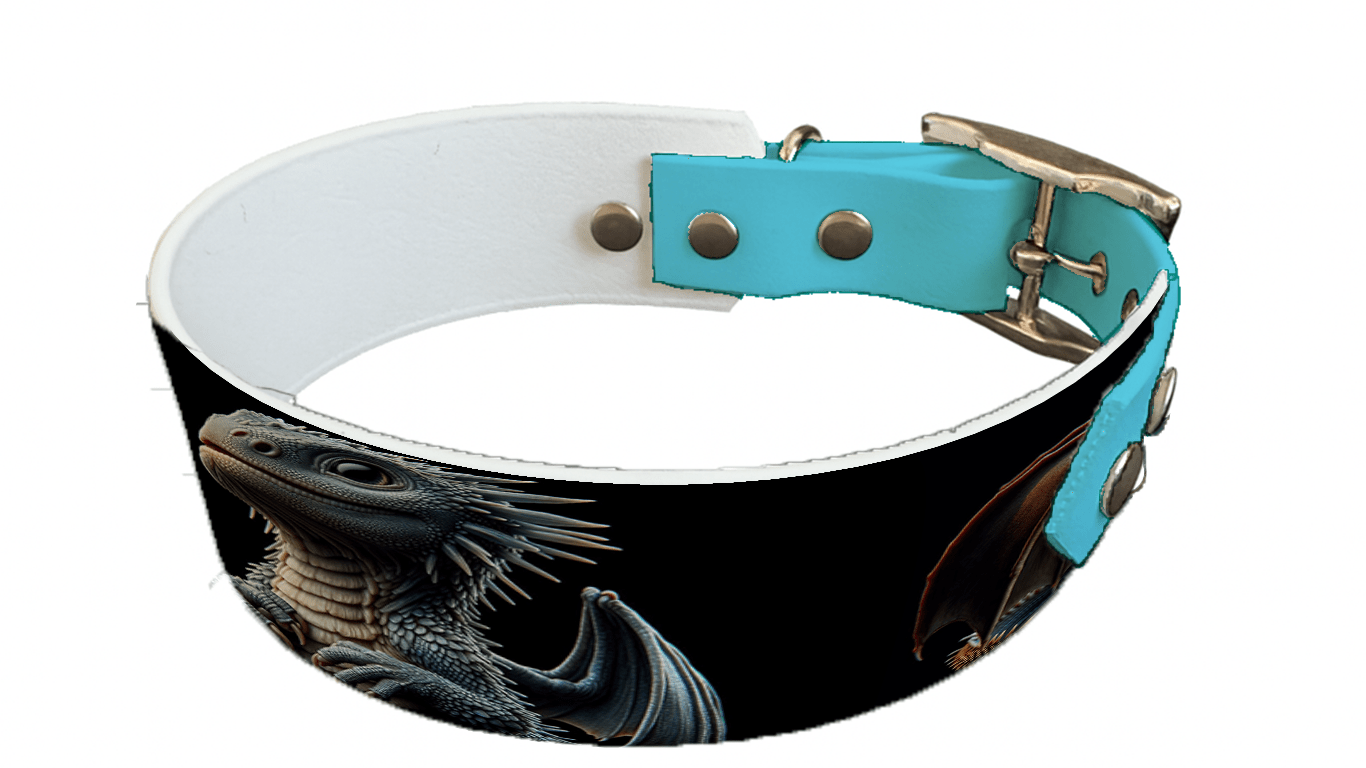 L'atelier du Fourmilier collier bicolore 78 Collier bicolore large pour chien en BioThane® imprimé – Collection monstres et créatures imaginaires– 38/25 mm