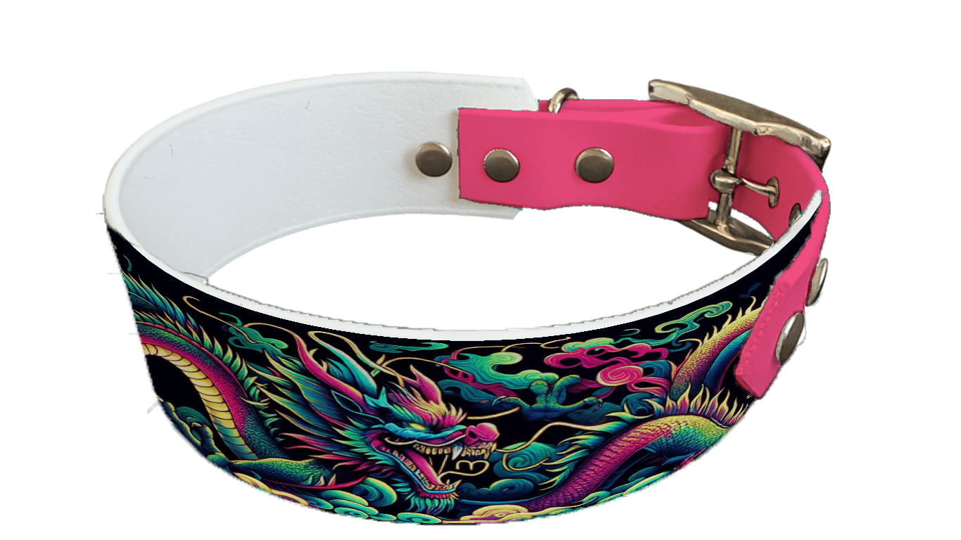 L'atelier du Fourmilier collier bicolore 80 Collier bicolore large pour chien en BioThane® imprimé – Collection Tribal – 38/25 mm