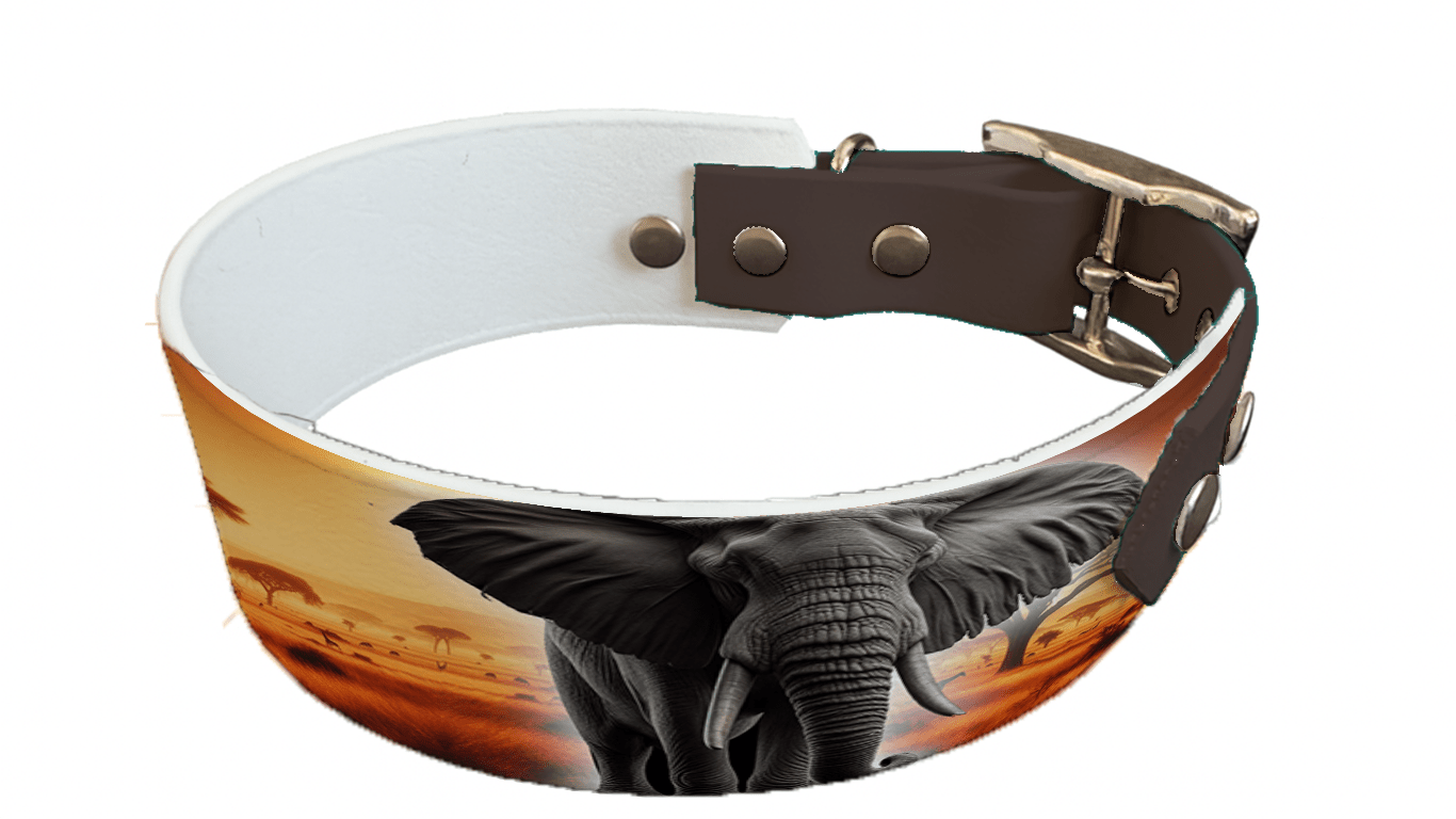 L'atelier du Fourmilier collier bicolore 87 Collier bicolore large pour chien en BioThane® imprimé – Collection animaux sauvages– 38/25 mm