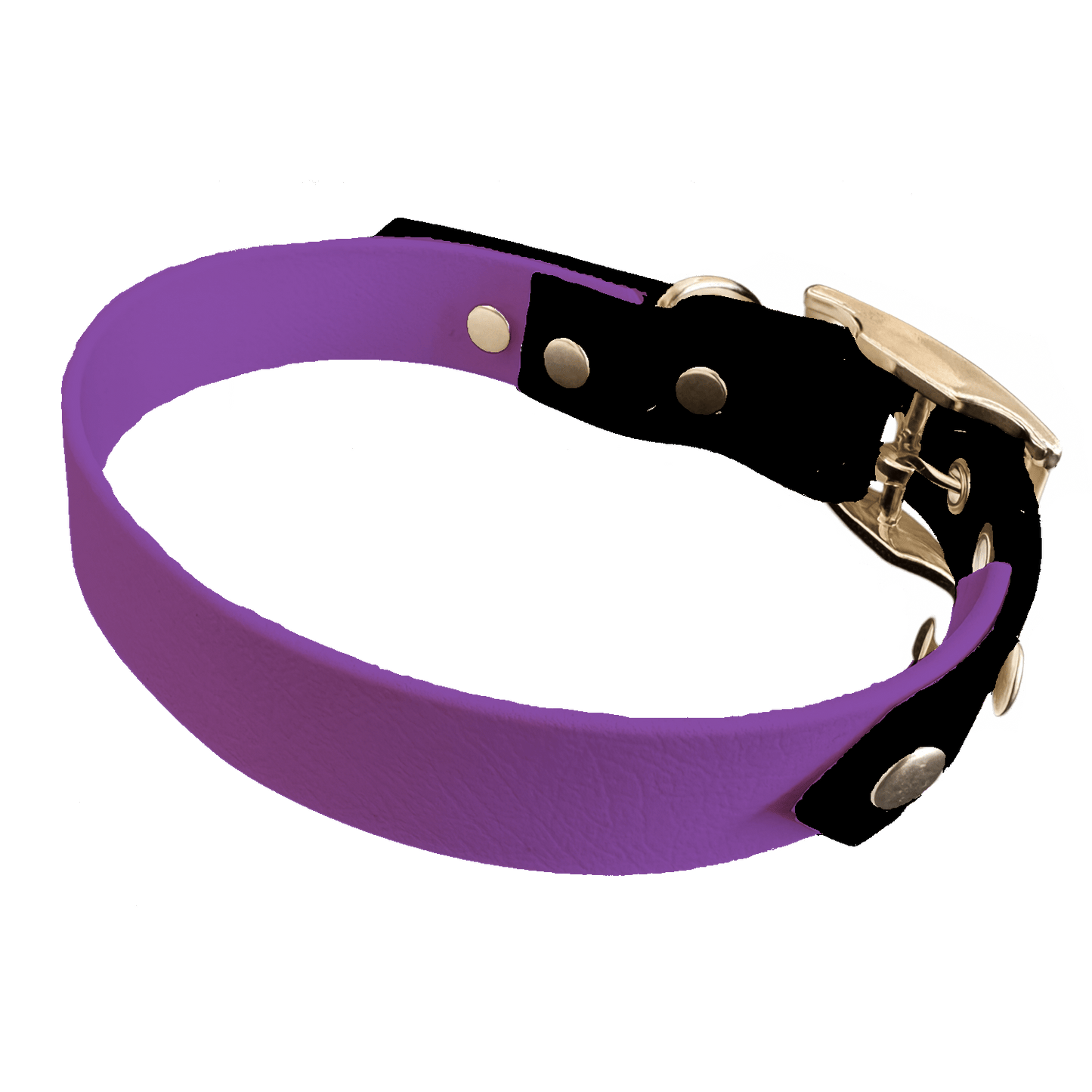 L'atelier du Fourmilier collier bicolore Améthyste Collier Bicolore en BioThane®  25 mm – coloris personnalisable