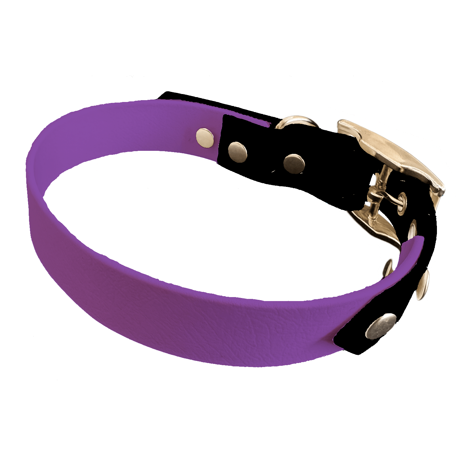 L'atelier du Fourmilier collier bicolore Améthyste Collier Bicolore en BioThane®  25 mm – coloris personnalisable