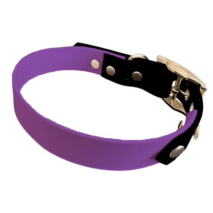 L'atelier du Fourmilier collier bicolore Améthyste Collier Bicolore en BioThane®  25 mm – coloris personnalisable