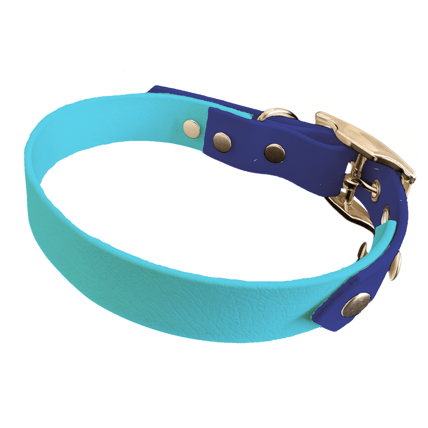 L'atelier du Fourmilier collier bicolore Bleu Clair Collier Bicolore en BioThane®  25 mm – coloris personnalisable