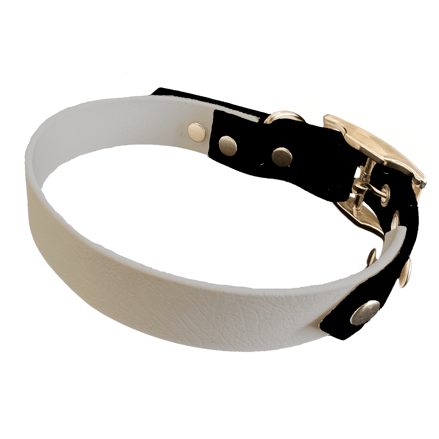 L'atelier du Fourmilier collier bicolore Collier Bicolore en BioThane®  25 mm – coloris personnalisable