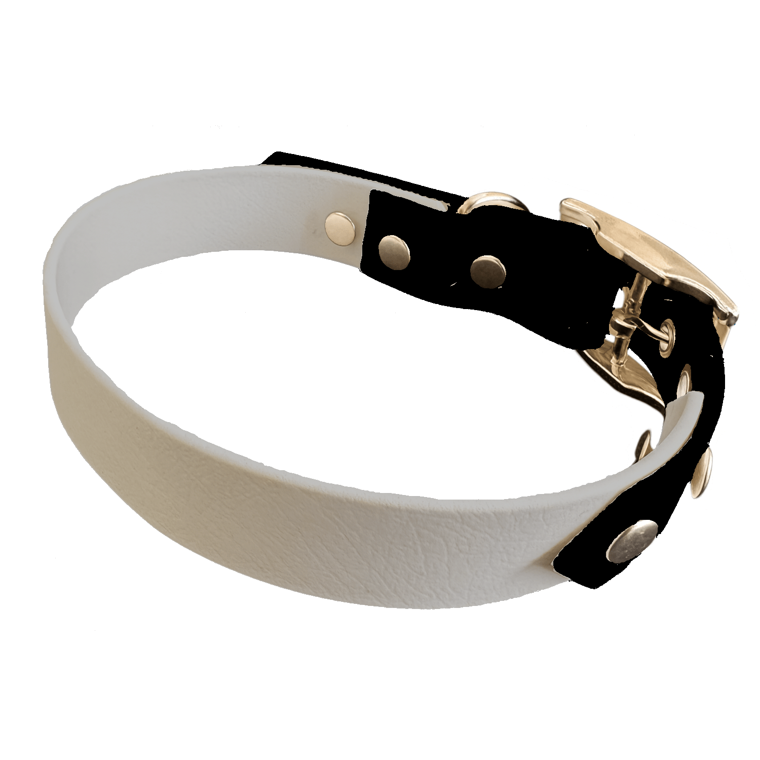 L'atelier du Fourmilier collier bicolore Collier Bicolore en BioThane®  25 mm – coloris personnalisable