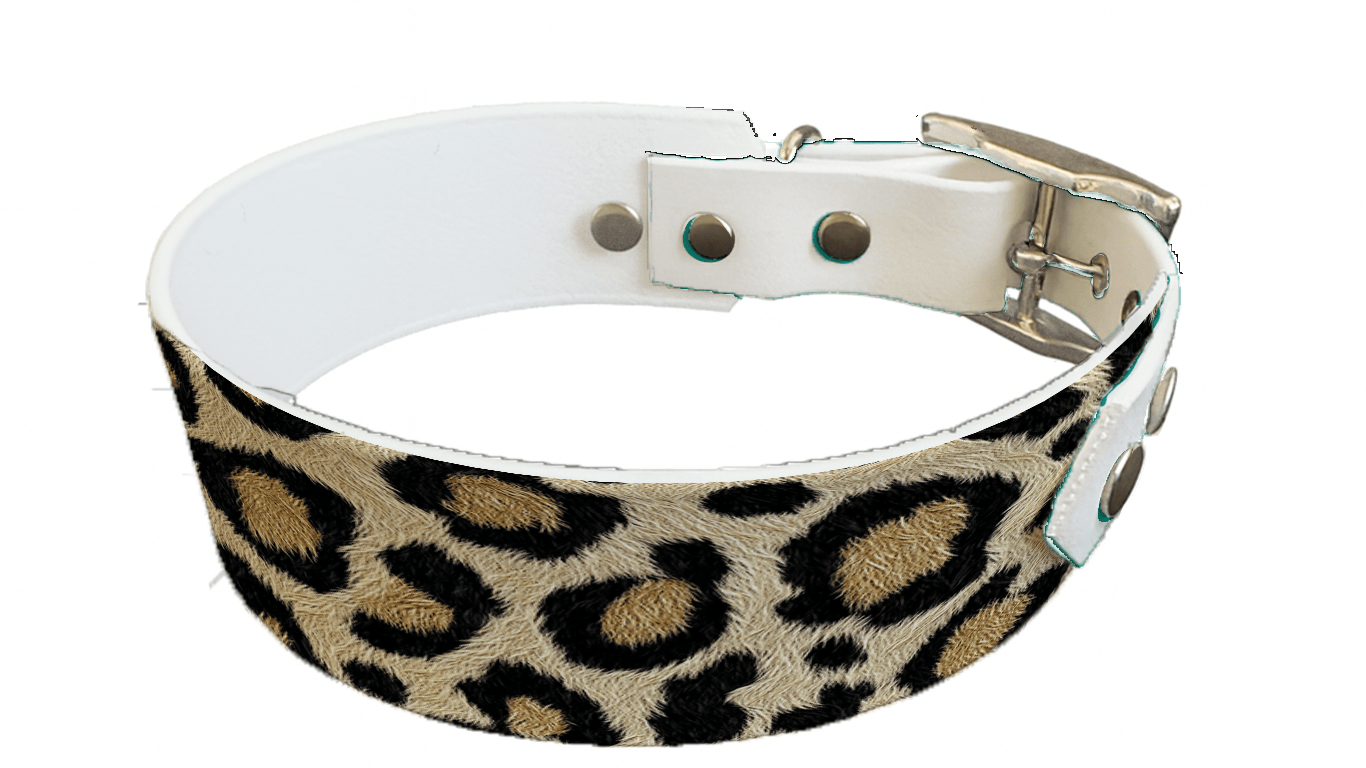 L'atelier du Fourmilier collier bicolore Collier bicolore large pour chien en BioThane® imprimé – Collection fourrures et pelages – 38/25 mm