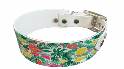 L'atelier du Fourmilier collier bicolore Collier bicolore large pour chien en BioThane® imprimé – Collection plantes et fleurs – 38/25 mm