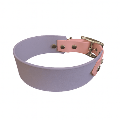 L'atelier du Fourmilier collier bicolore Collier Large Bicolore en BioThane® – 38 mm / 25 mm – coloris personnalisable