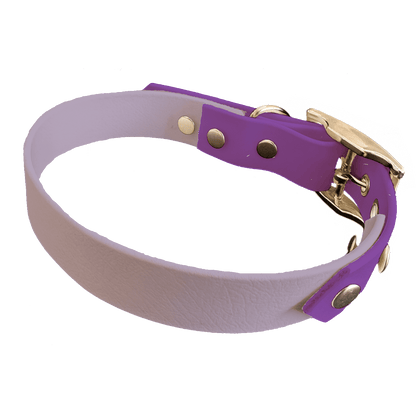L'atelier du Fourmilier collier bicolore lilas Collier Bicolore en BioThane®  25 mm – coloris personnalisable