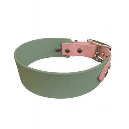 L'atelier du Fourmilier collier bicolore Menthe Collier Large Bicolore en BioThane® – 38 mm / 25 mm – coloris personnalisable