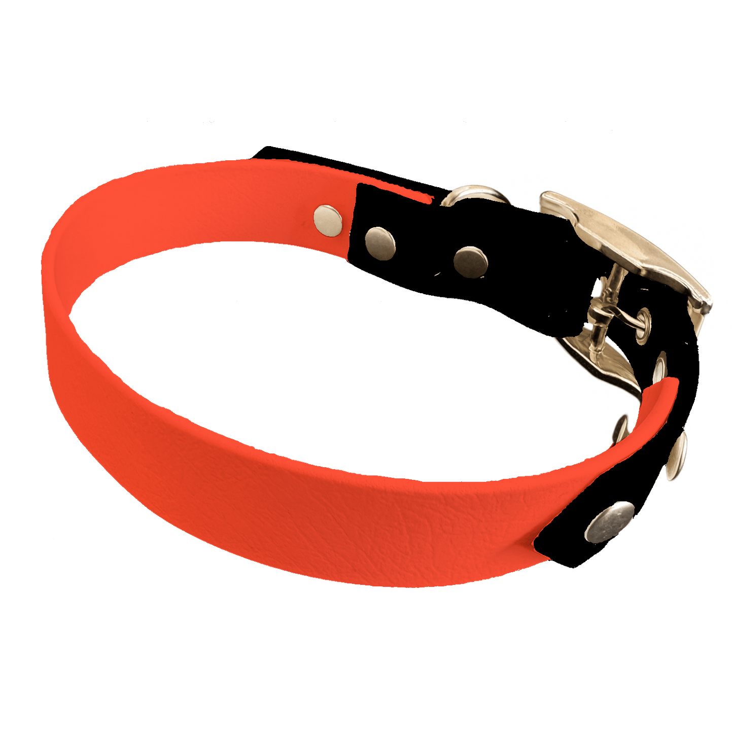 L'atelier du Fourmilier collier bicolore Orange Collier Bicolore en BioThane®  25 mm – coloris personnalisable