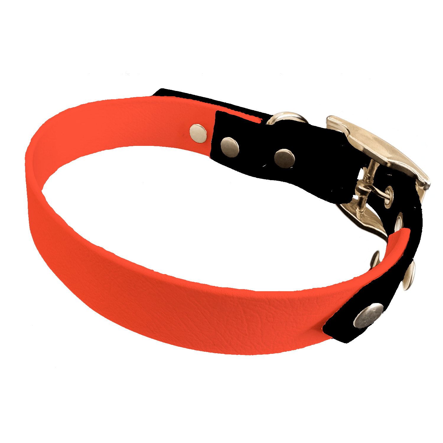 L'atelier du Fourmilier collier bicolore Orange Collier Bicolore en BioThane®  25 mm – coloris personnalisable