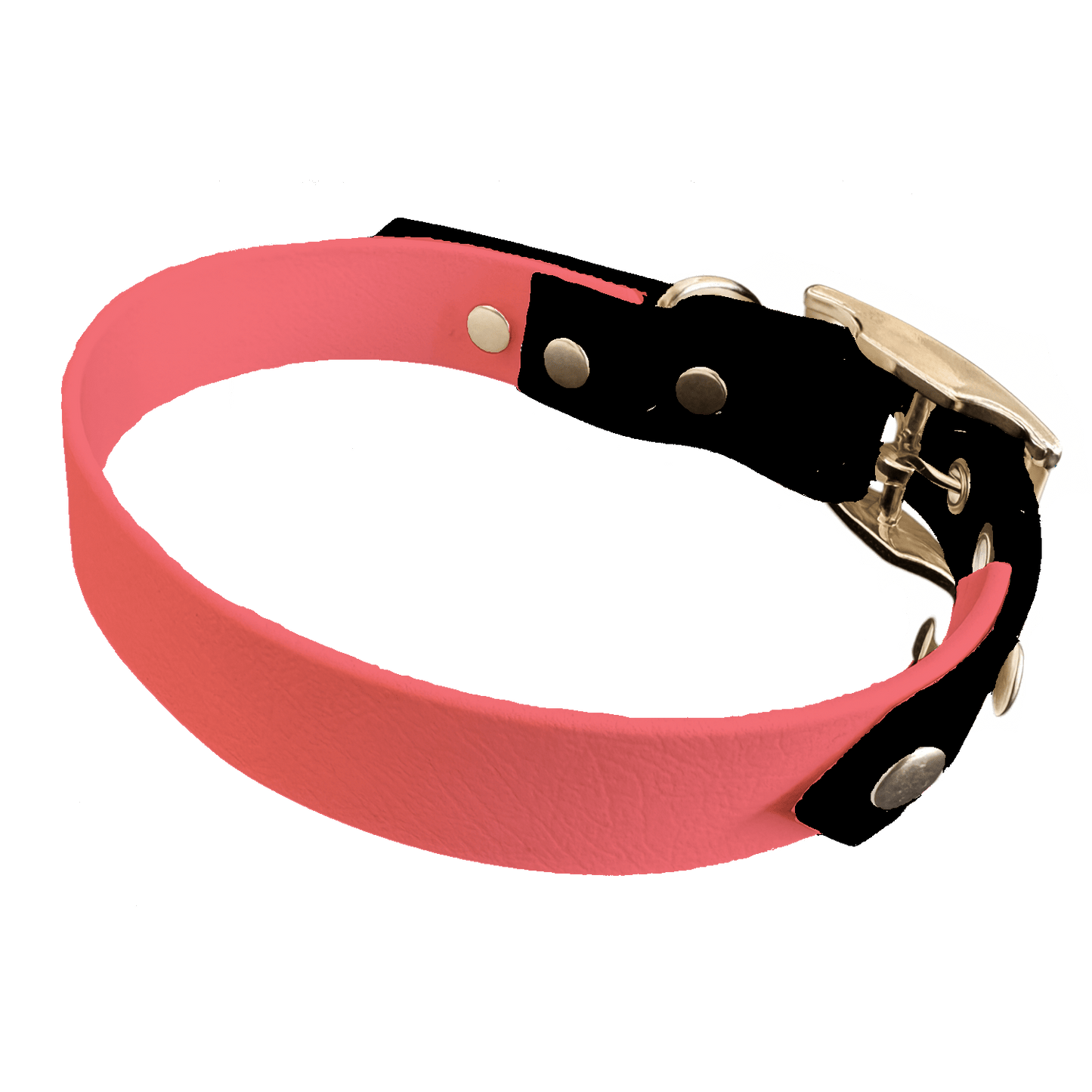 L'atelier du Fourmilier collier bicolore Saumon Collier Bicolore en BioThane®  25 mm – coloris personnalisable