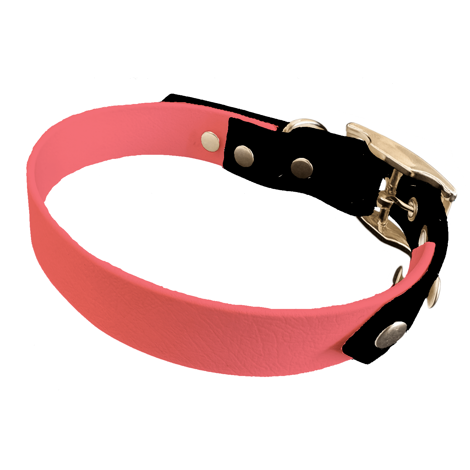 L'atelier du Fourmilier collier bicolore Saumon Collier Bicolore en BioThane®  25 mm – coloris personnalisable