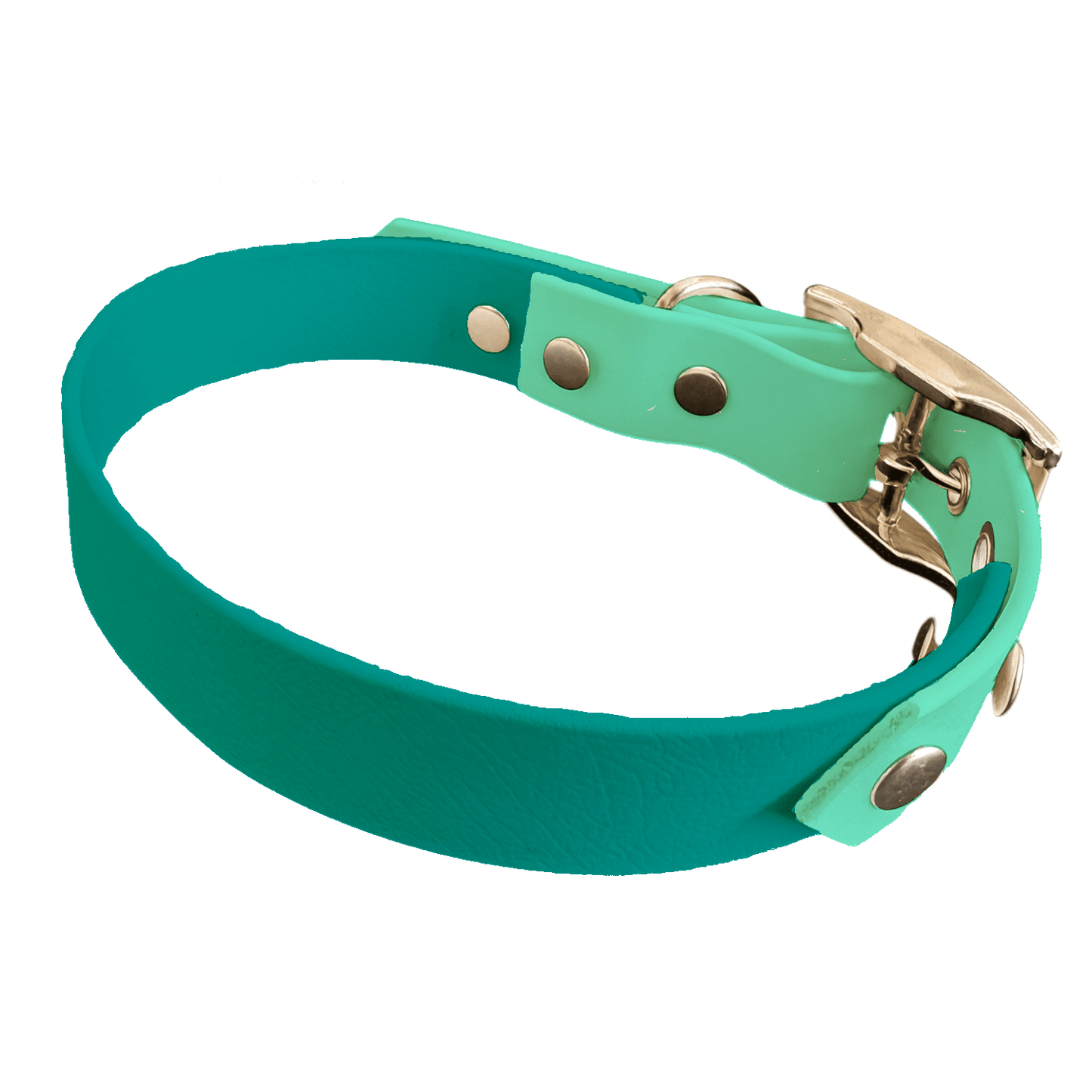 L'atelier du Fourmilier collier bicolore Teal Collier Bicolore en BioThane®  25 mm – coloris personnalisable