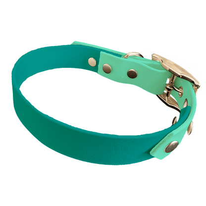 L'atelier du Fourmilier collier bicolore Teal Collier Bicolore en BioThane®  25 mm – coloris personnalisable
