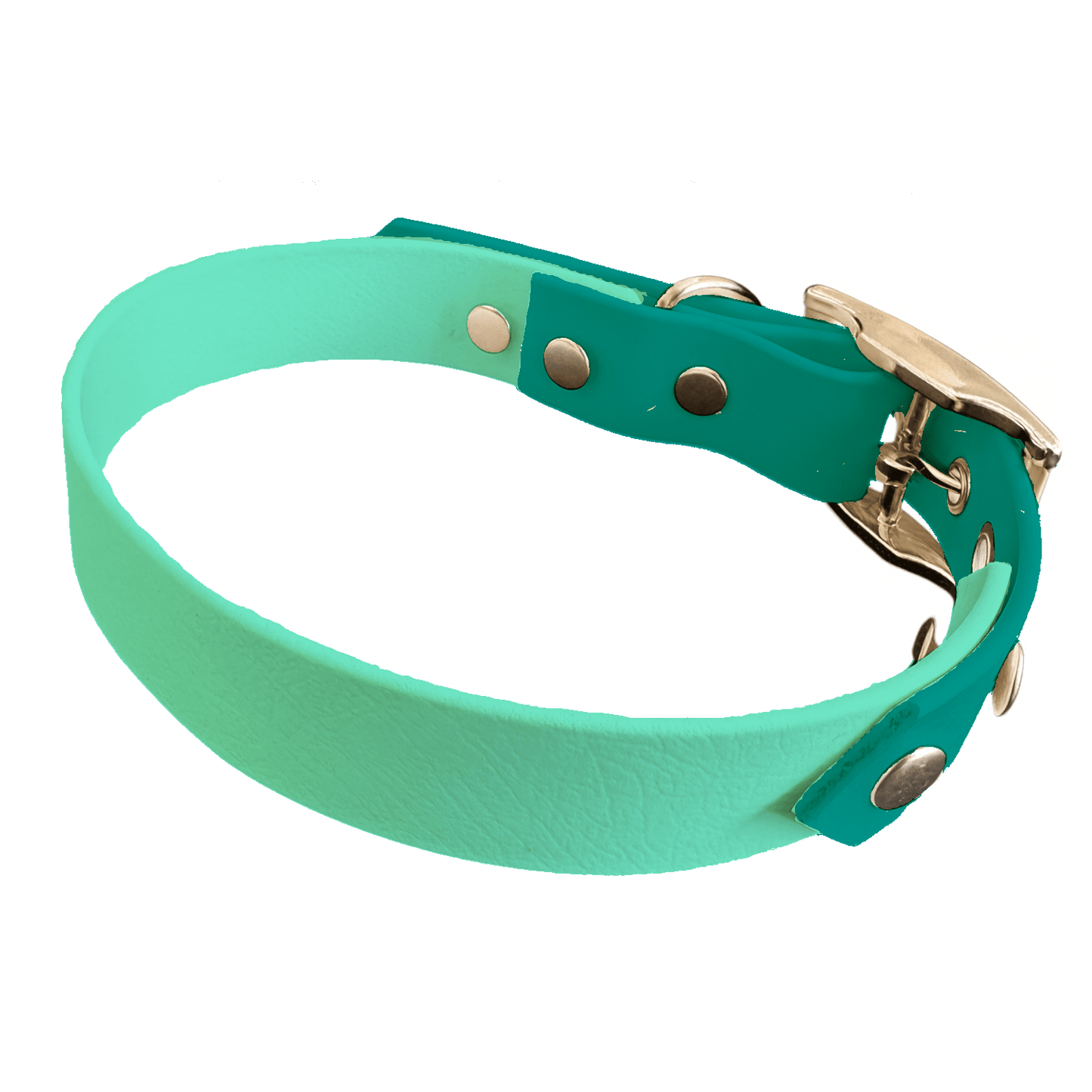 L'atelier du Fourmilier collier bicolore Vert Caribéen Collier Bicolore en BioThane®  25 mm – coloris personnalisable