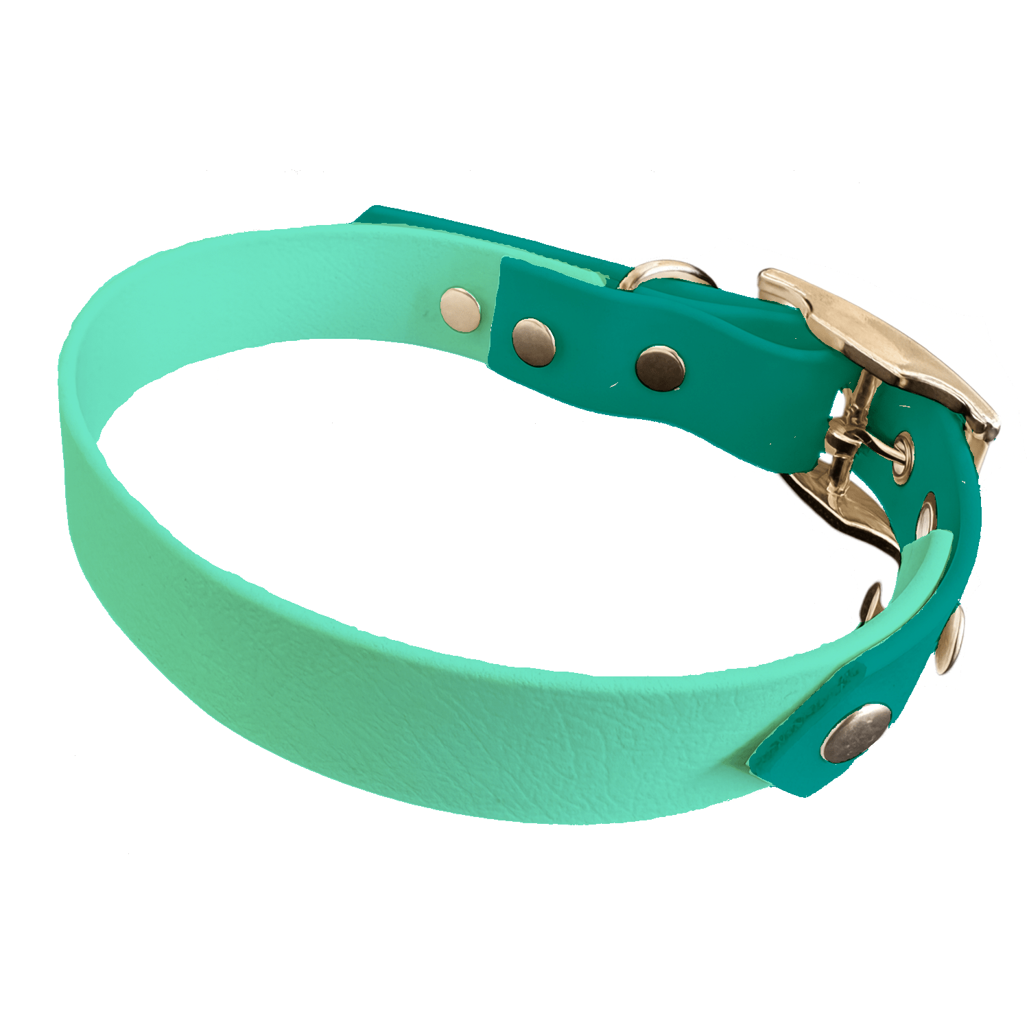 L'atelier du Fourmilier collier bicolore Vert Caribéen Collier Bicolore en BioThane®  25 mm – coloris personnalisable