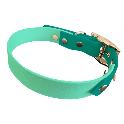 L'atelier du Fourmilier collier bicolore Vert Caribéen Collier Bicolore en BioThane®  25 mm – coloris personnalisable