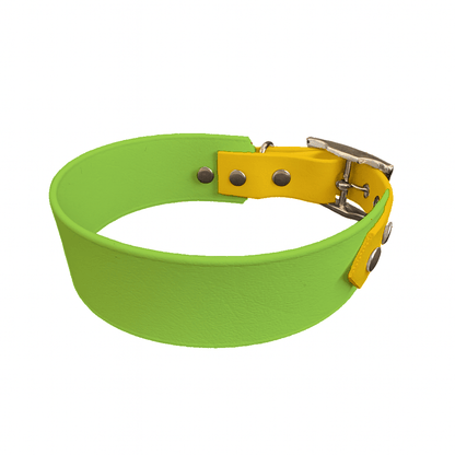 L'atelier du Fourmilier collier bicolore Vert Pomme Collier Large Bicolore en BioThane® – 38 mm / 25 mm – coloris personnalisable