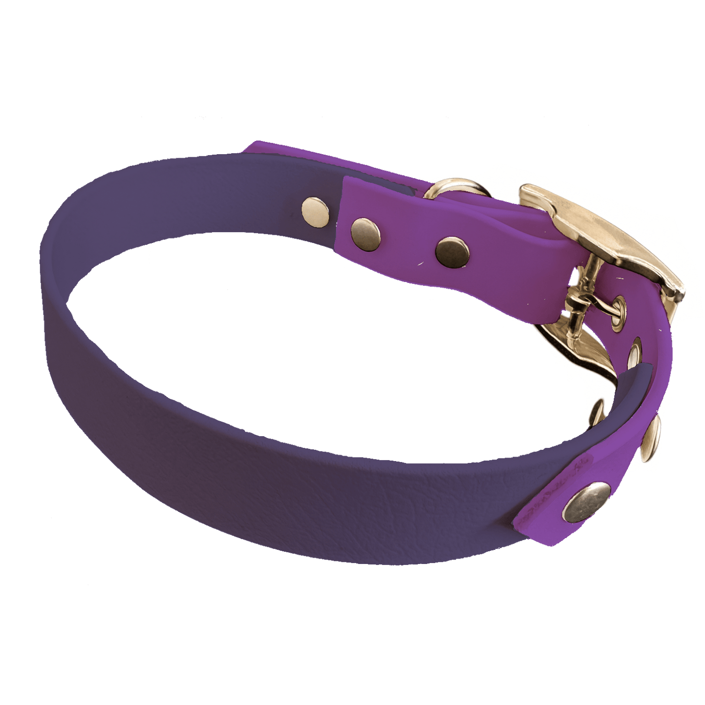 L'atelier du Fourmilier collier bicolore Violet Collier Bicolore en BioThane®  25 mm – coloris personnalisable