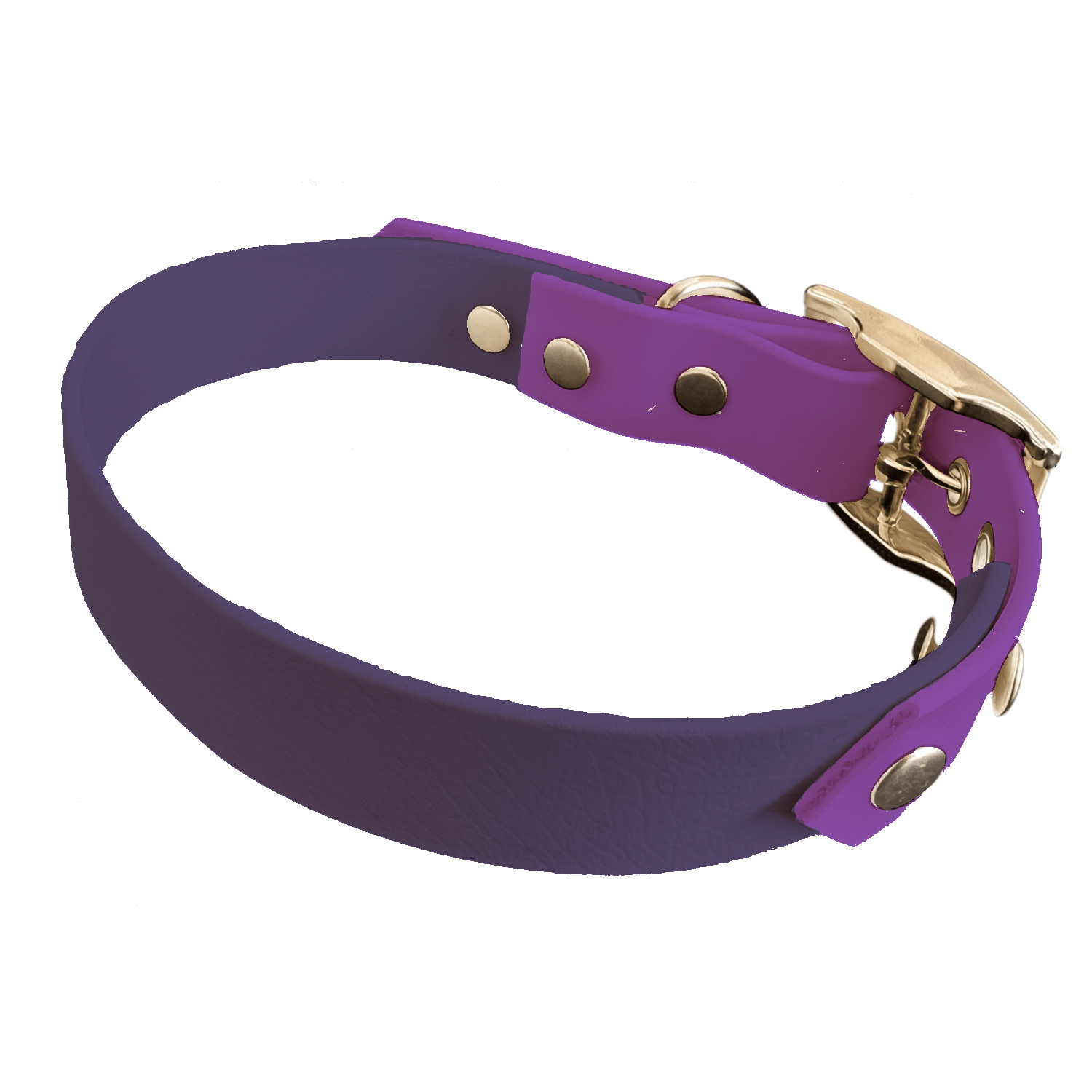 L'atelier du Fourmilier collier bicolore Violet Collier Bicolore en BioThane®  25 mm – coloris personnalisable