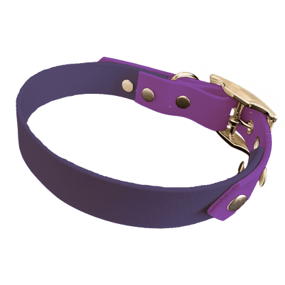L'atelier du Fourmilier collier bicolore Violet Collier Bicolore en BioThane®  25 mm – coloris personnalisable